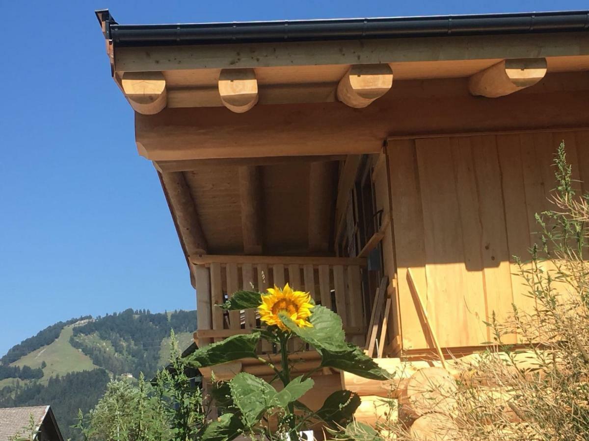 Chalet Karin Hochfilzen Dış mekan fotoğraf